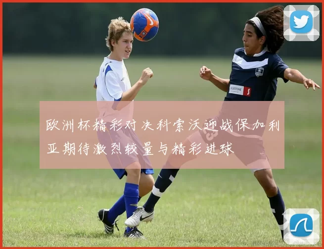 欧洲杯精彩对决科索沃迎战保加利亚期待激烈较量与精彩进球