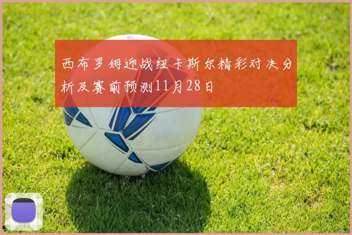 西布罗姆迎战纽卡斯尔精彩对决分析及赛前预测11月28日