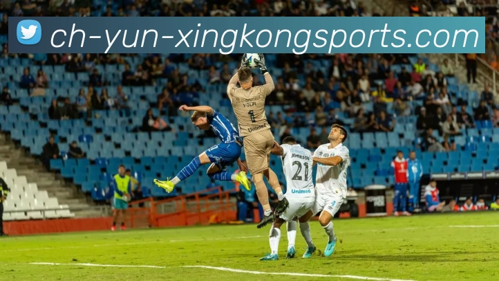 星空体育平台生态图